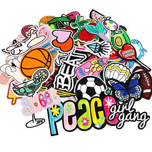 60 Pcs Random Assorted Styles Embroidered Iron On Applique Patches